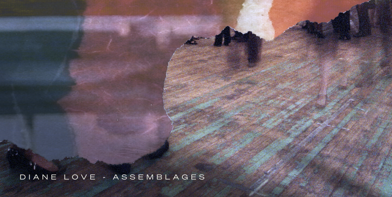 Diane Love - Assemblages
