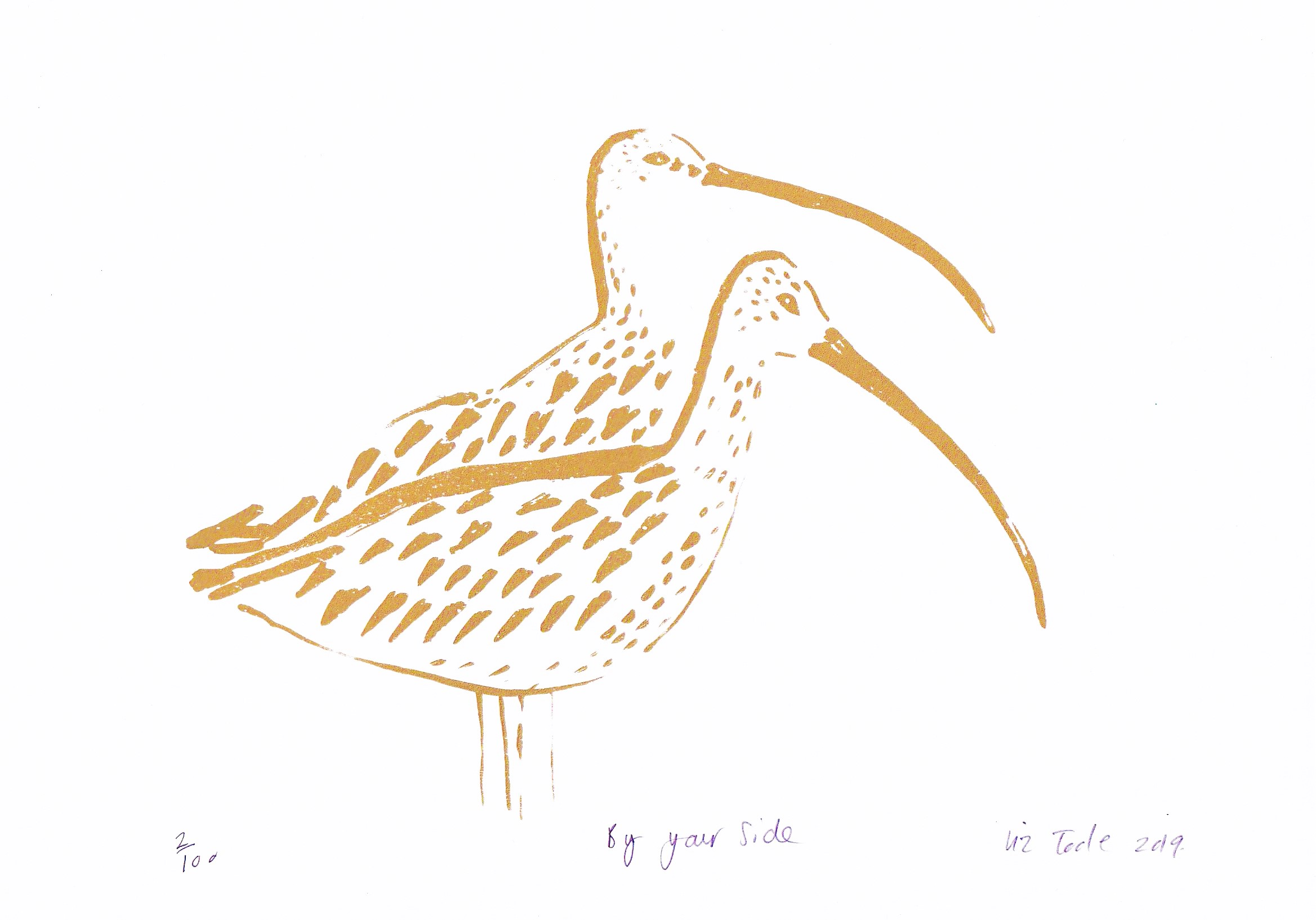 Liz Toole