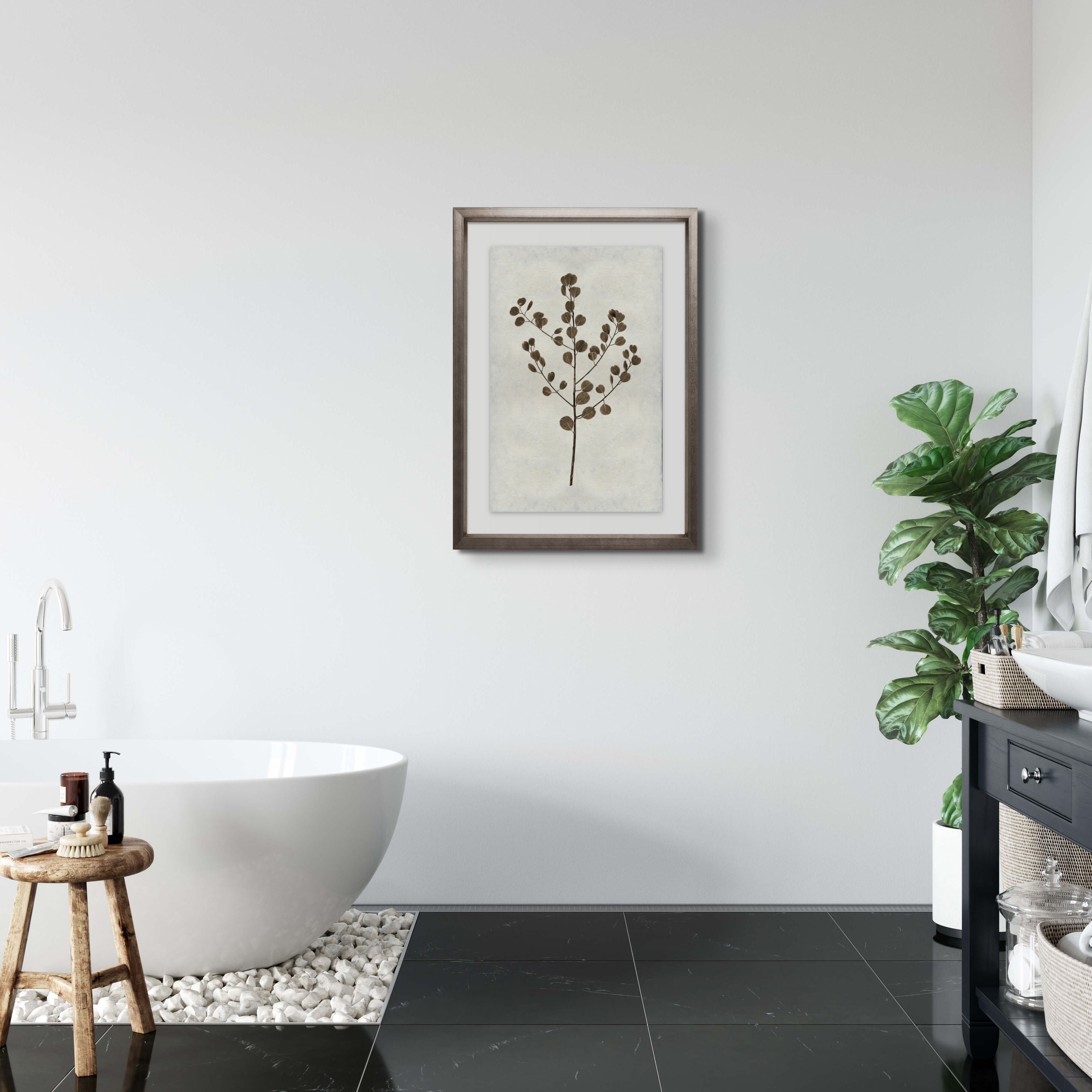 Eucalyptus
