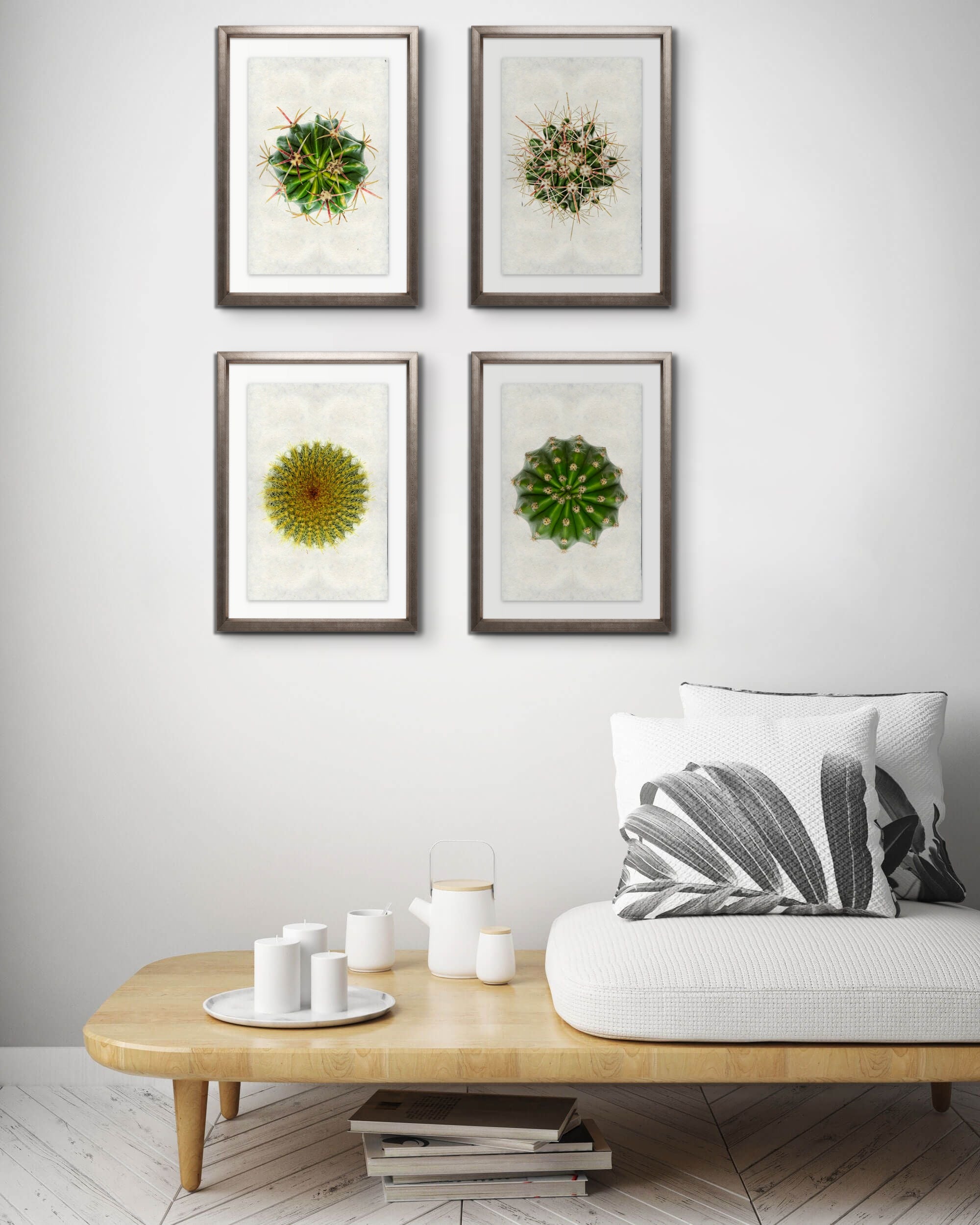 Cacti