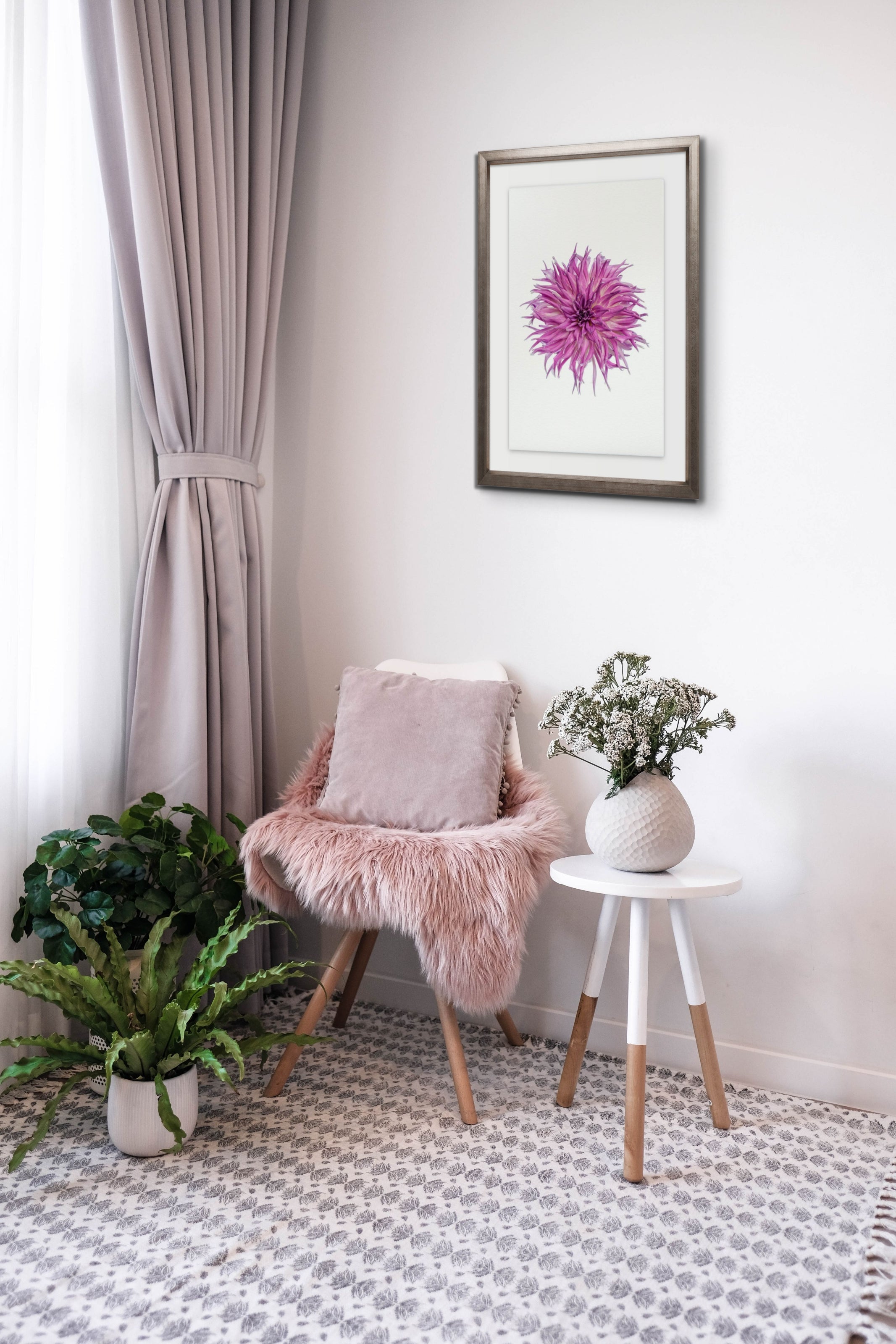 Dahlia Collection
