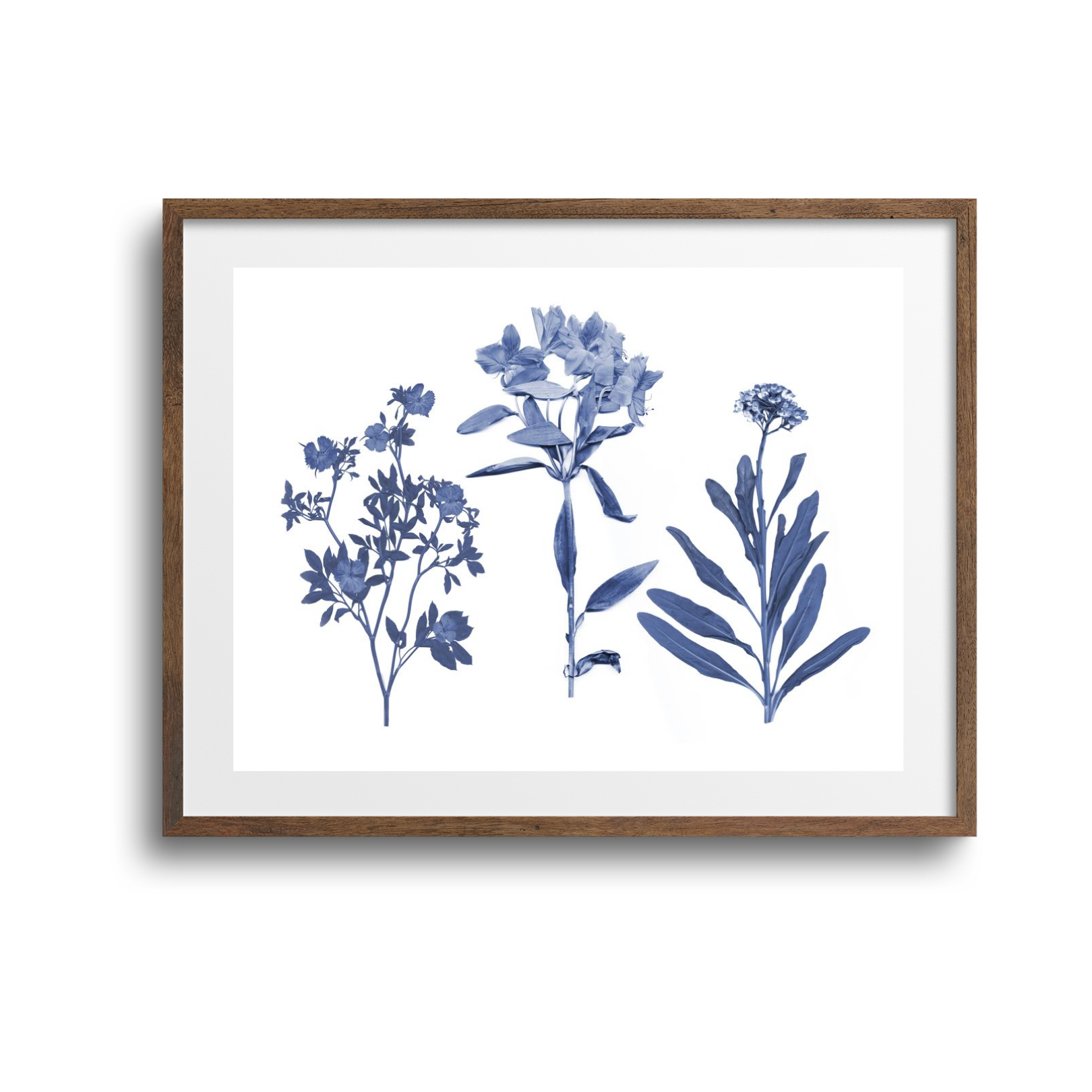 Indigo Pressed Florals II