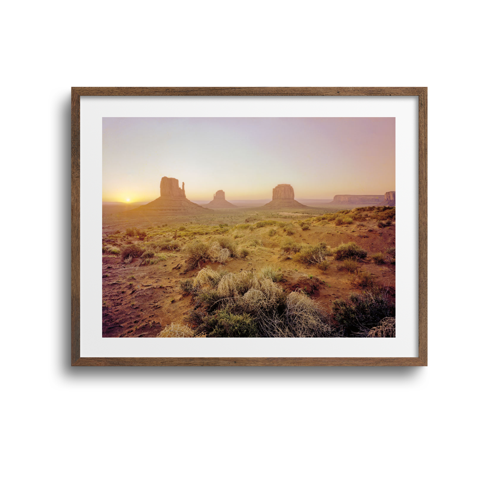 Dawn in the Desert