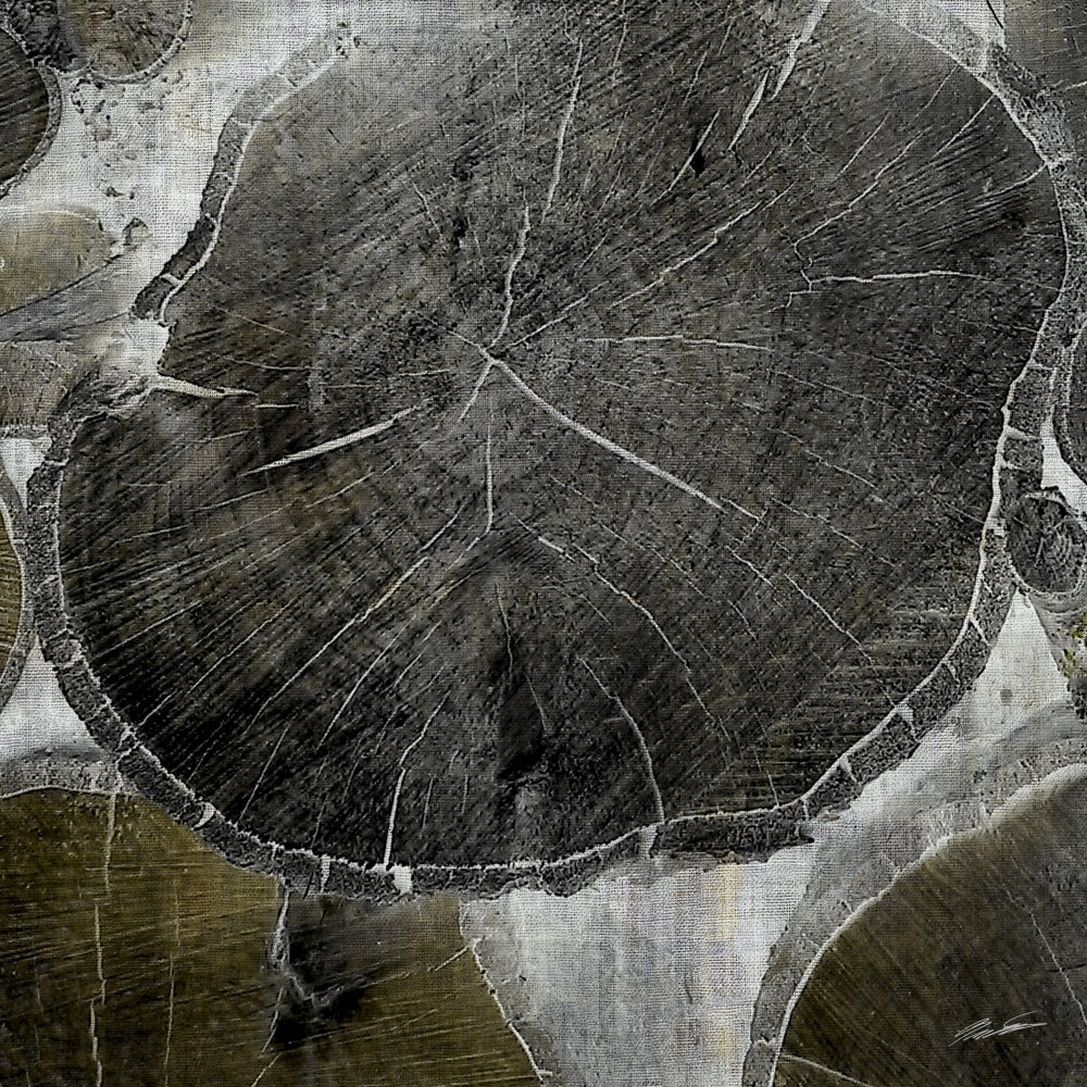Logging IV