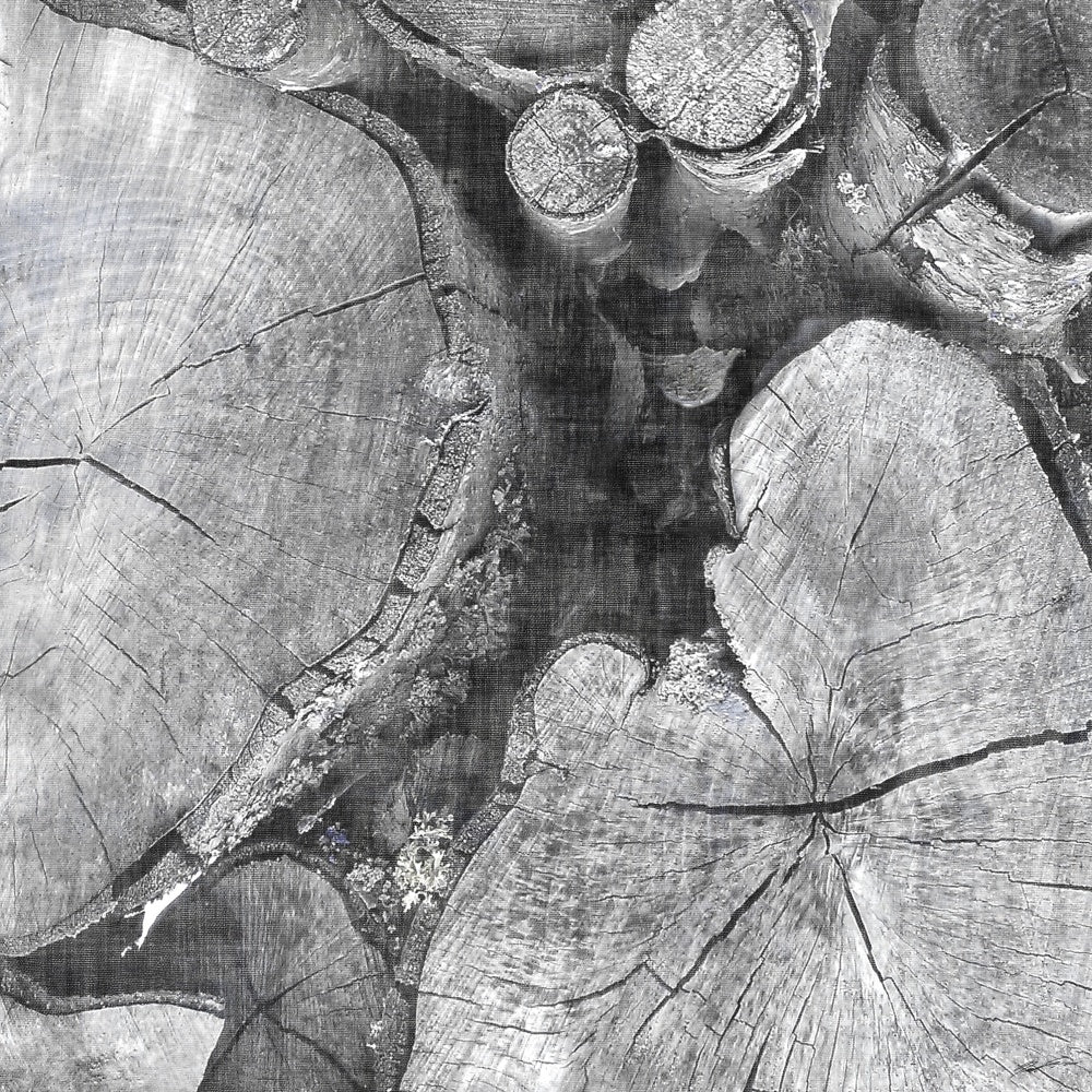 Logging Light I