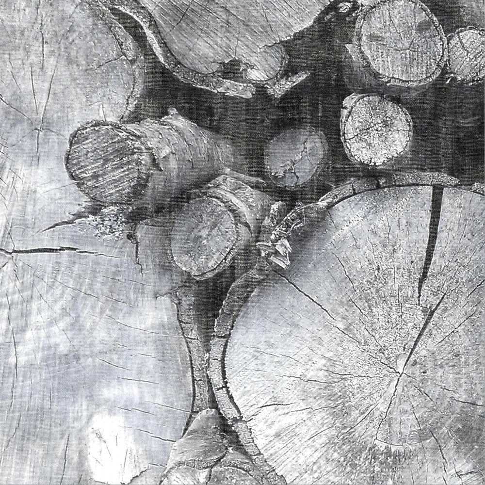 Logging Light III