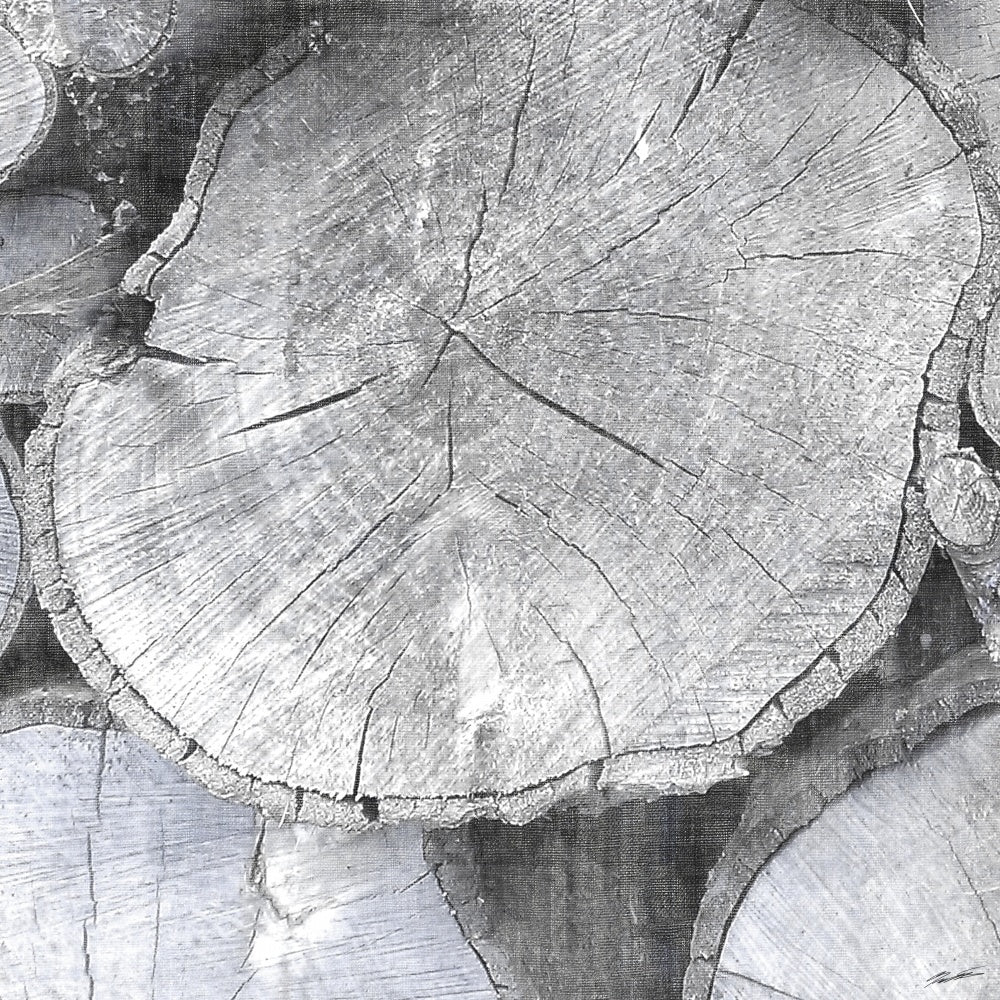 Logging Light IV
