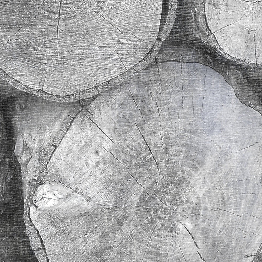 Logging Light V