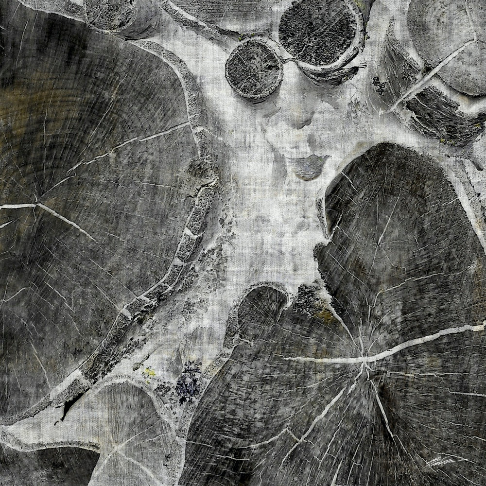 Logging I