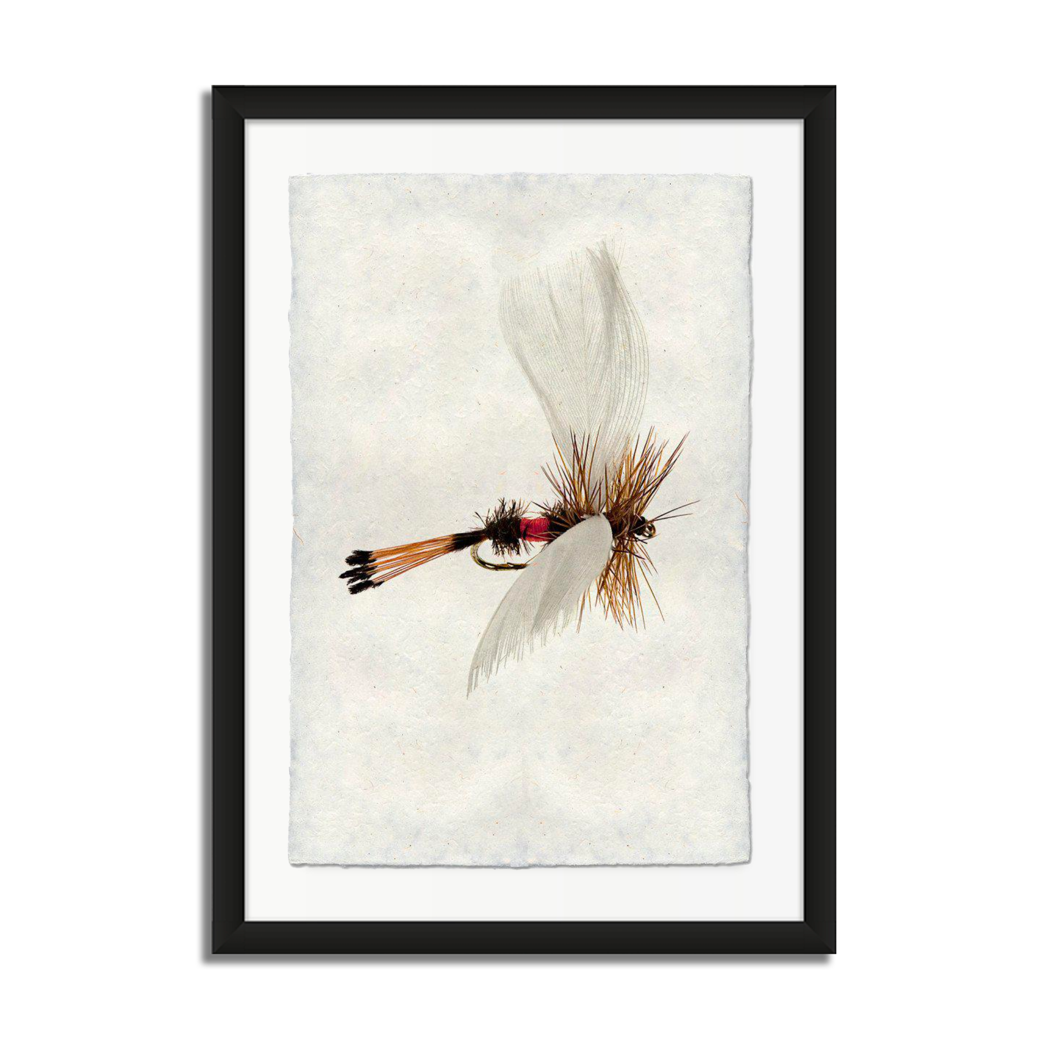 Coachman Fanwing Fly Fishing