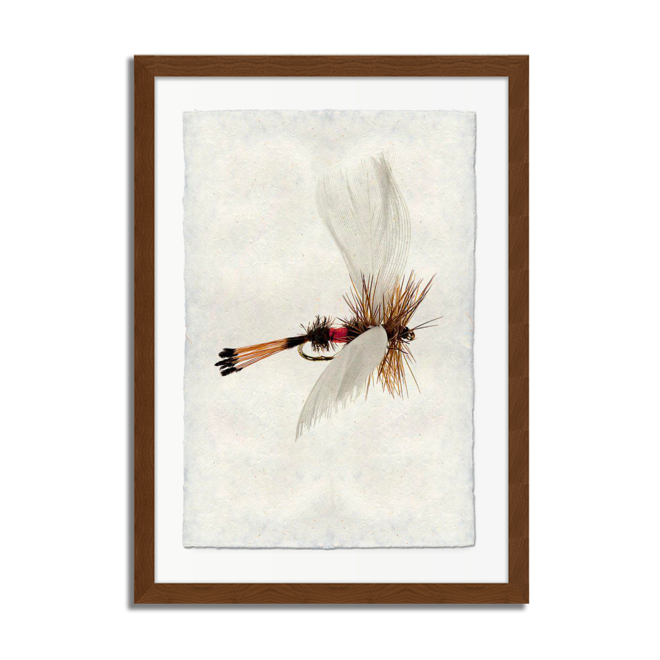 Coachman Fanwing Fly Fishing