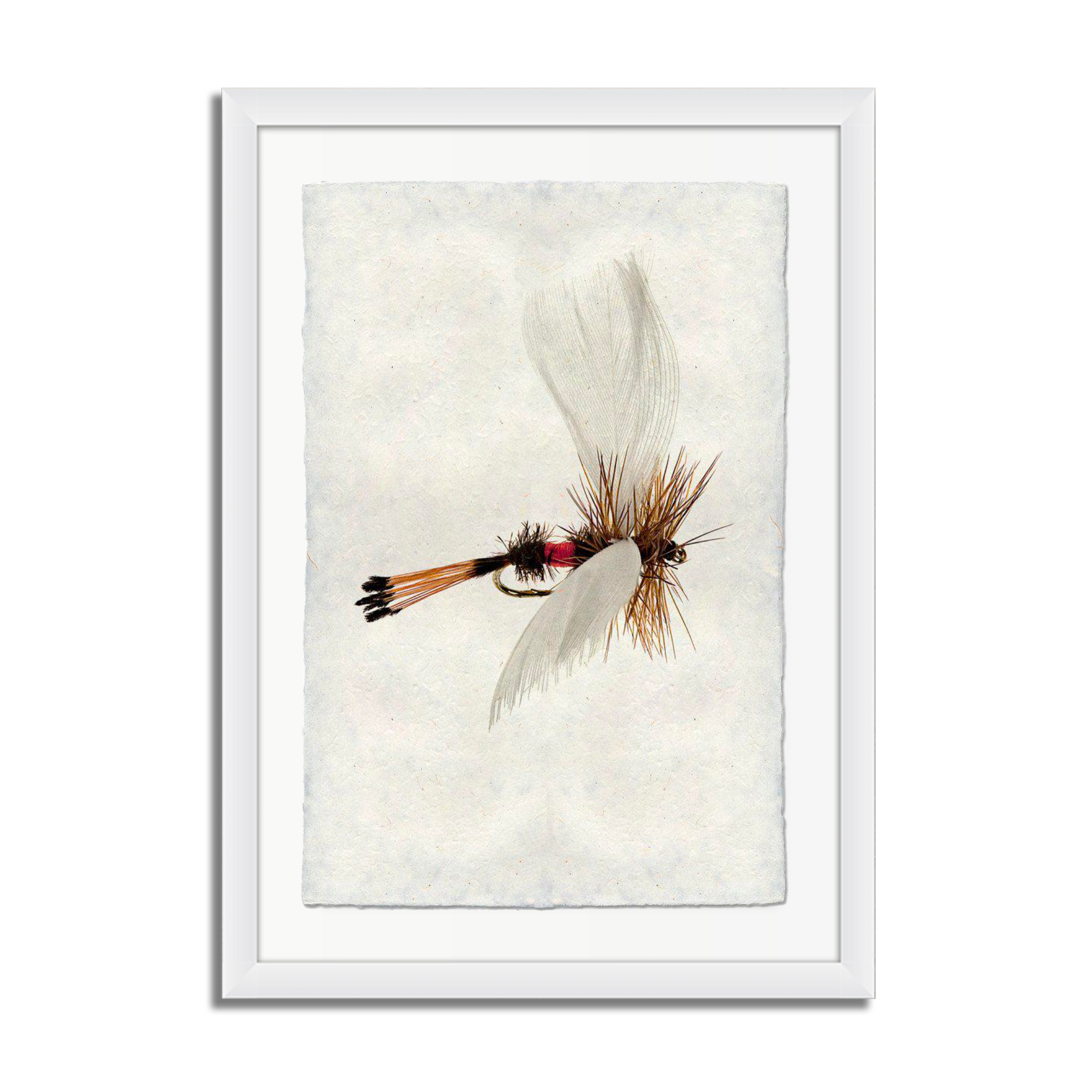 Coachman Fanwing Fly Fishing