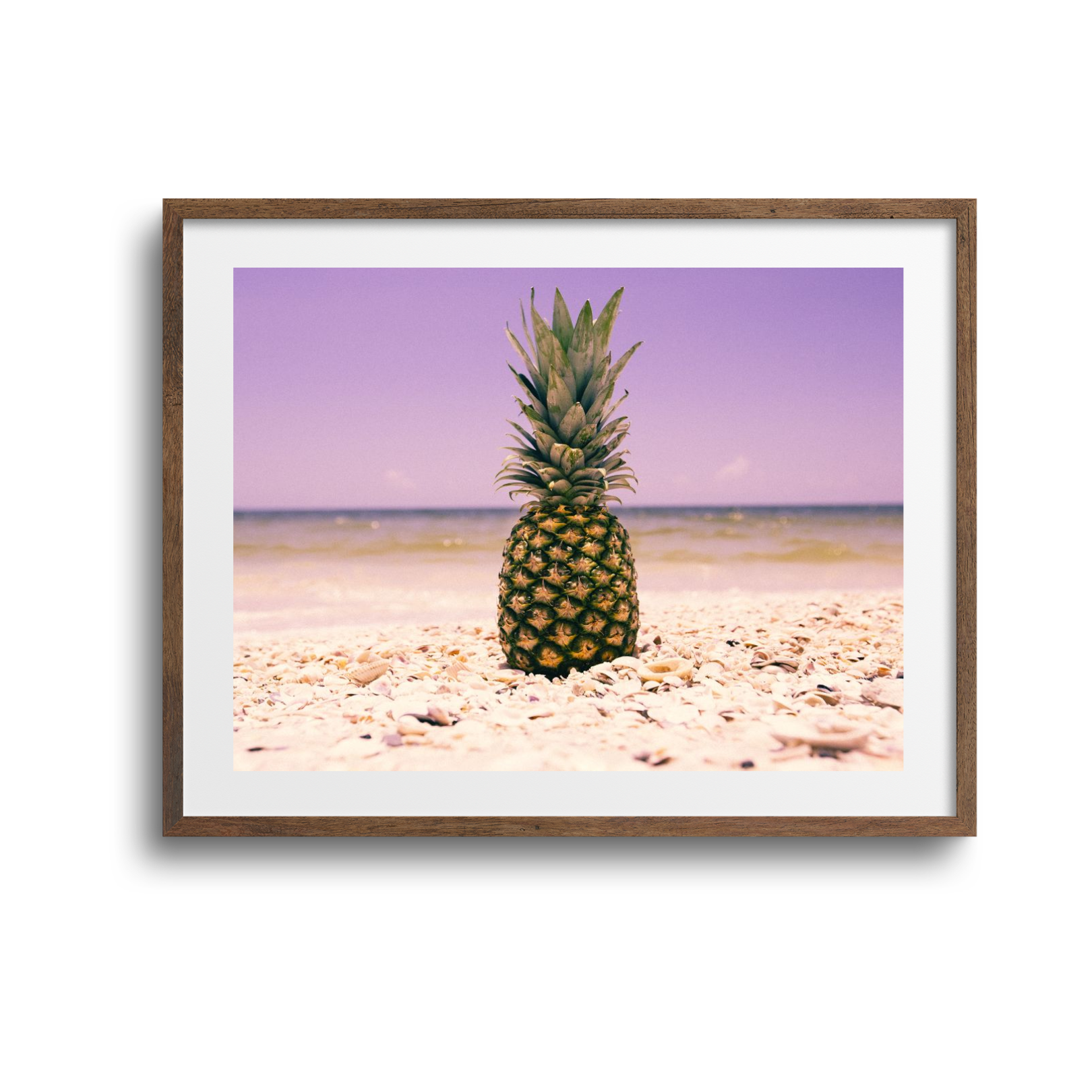 South Florida Pineapple I