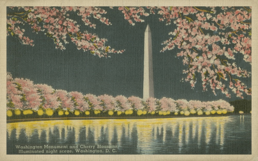 Washington Monument at Night