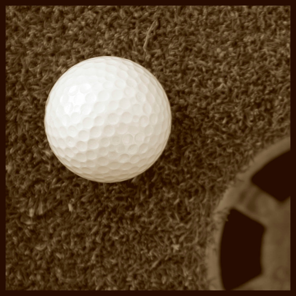 Sepia Golf Ball Study I