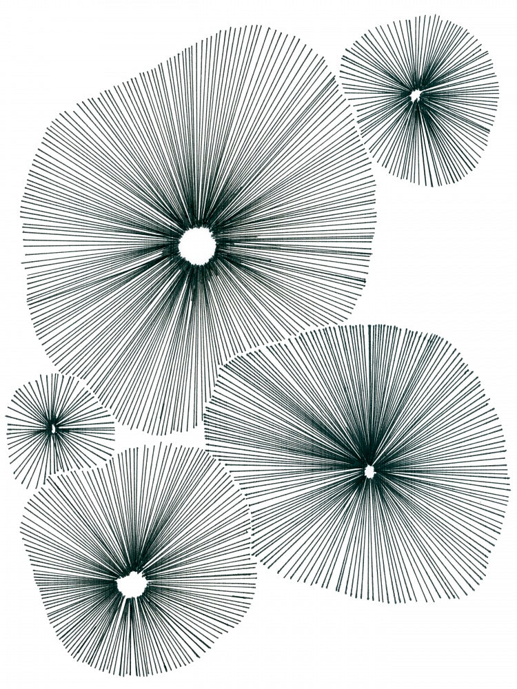 Bloom Spiral I