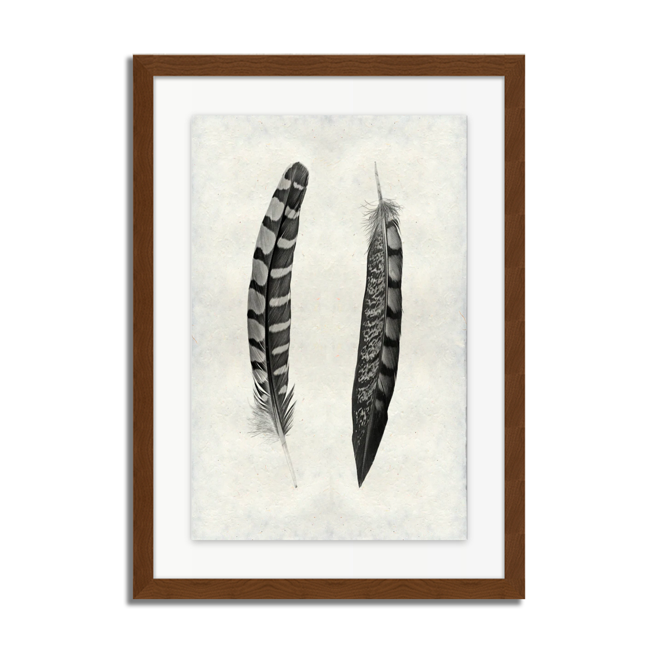 2 Curved Feathers (Partridge Wing & Pheasant Tail)