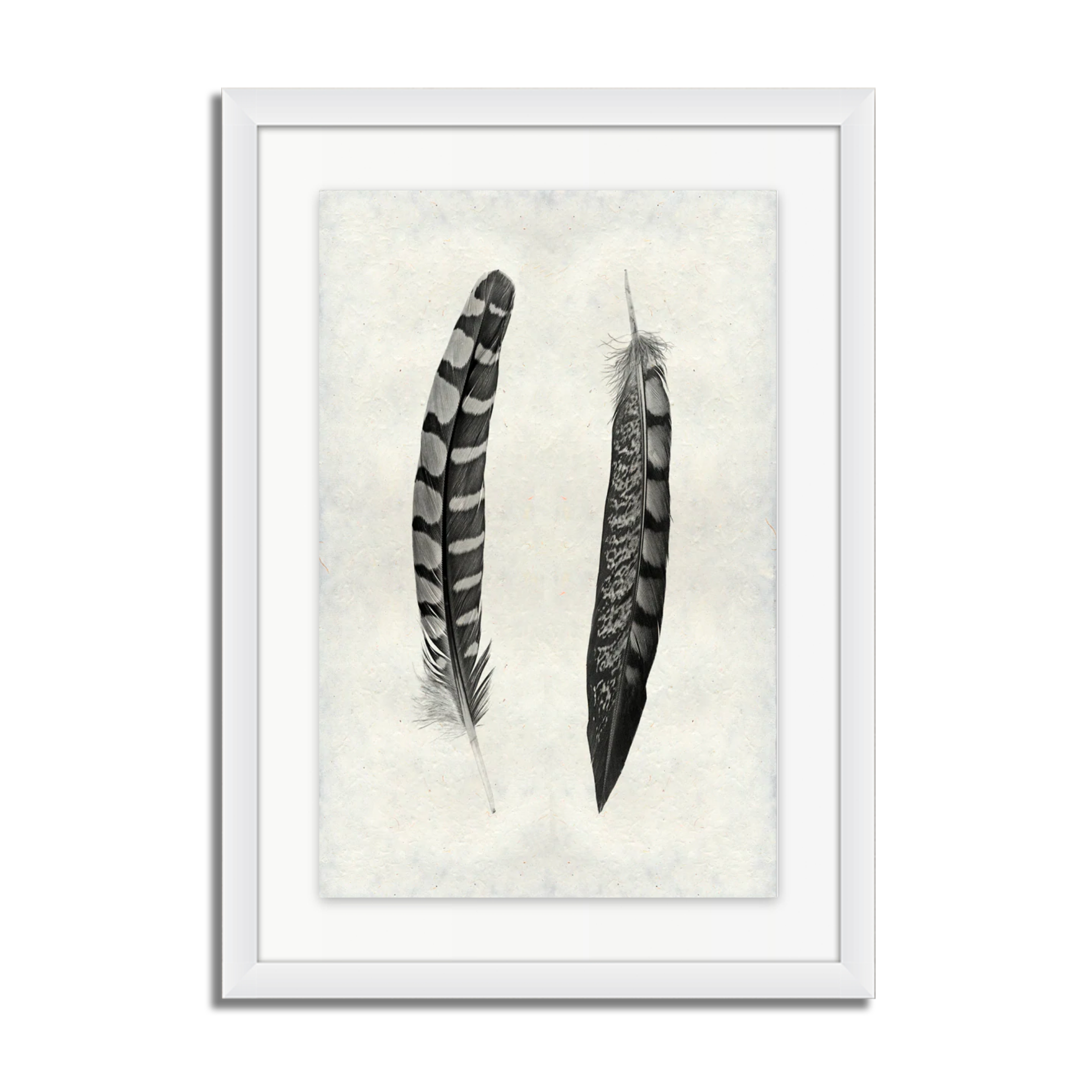 2 Curved Feathers (Partridge Wing & Pheasant Tail)