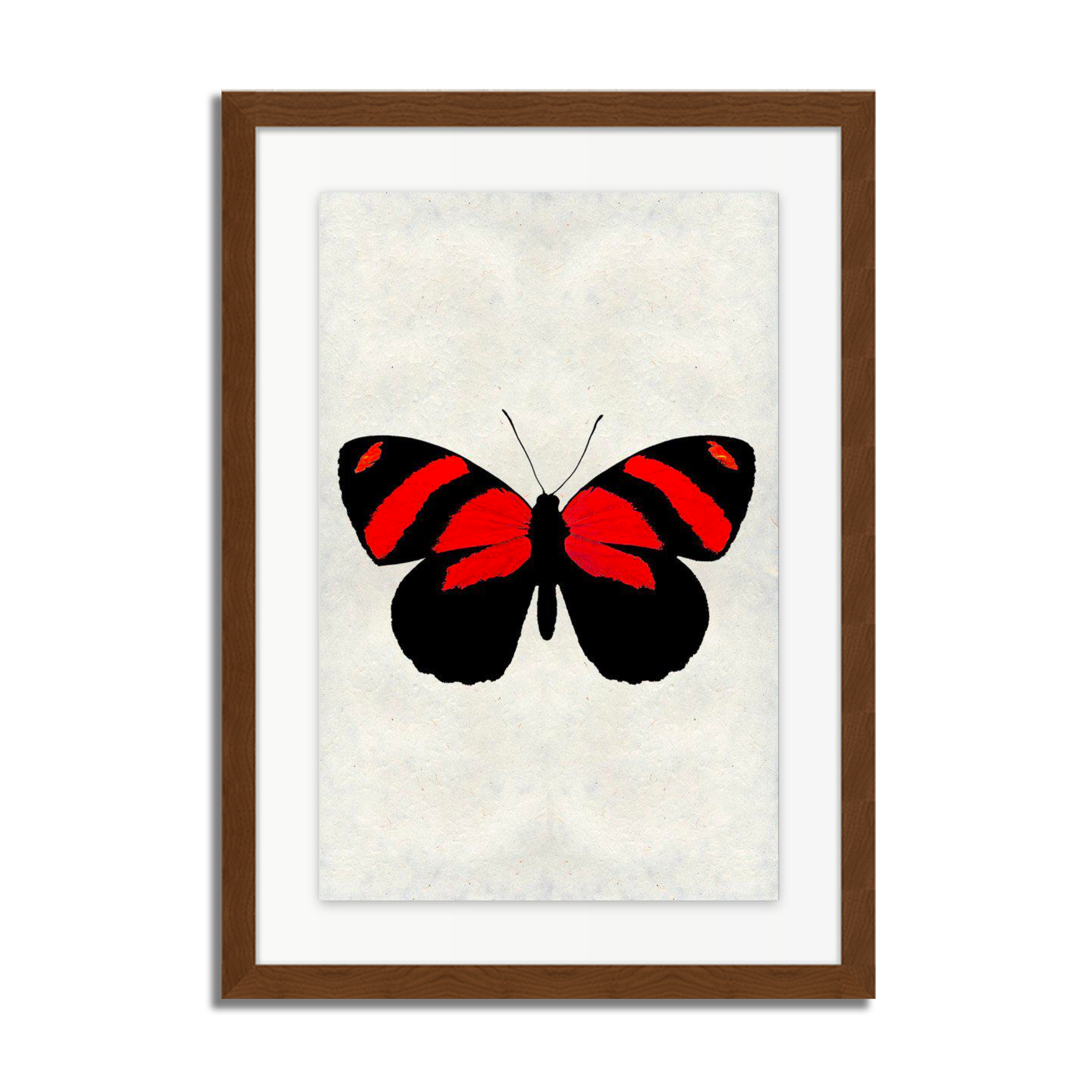 Butterfly #10