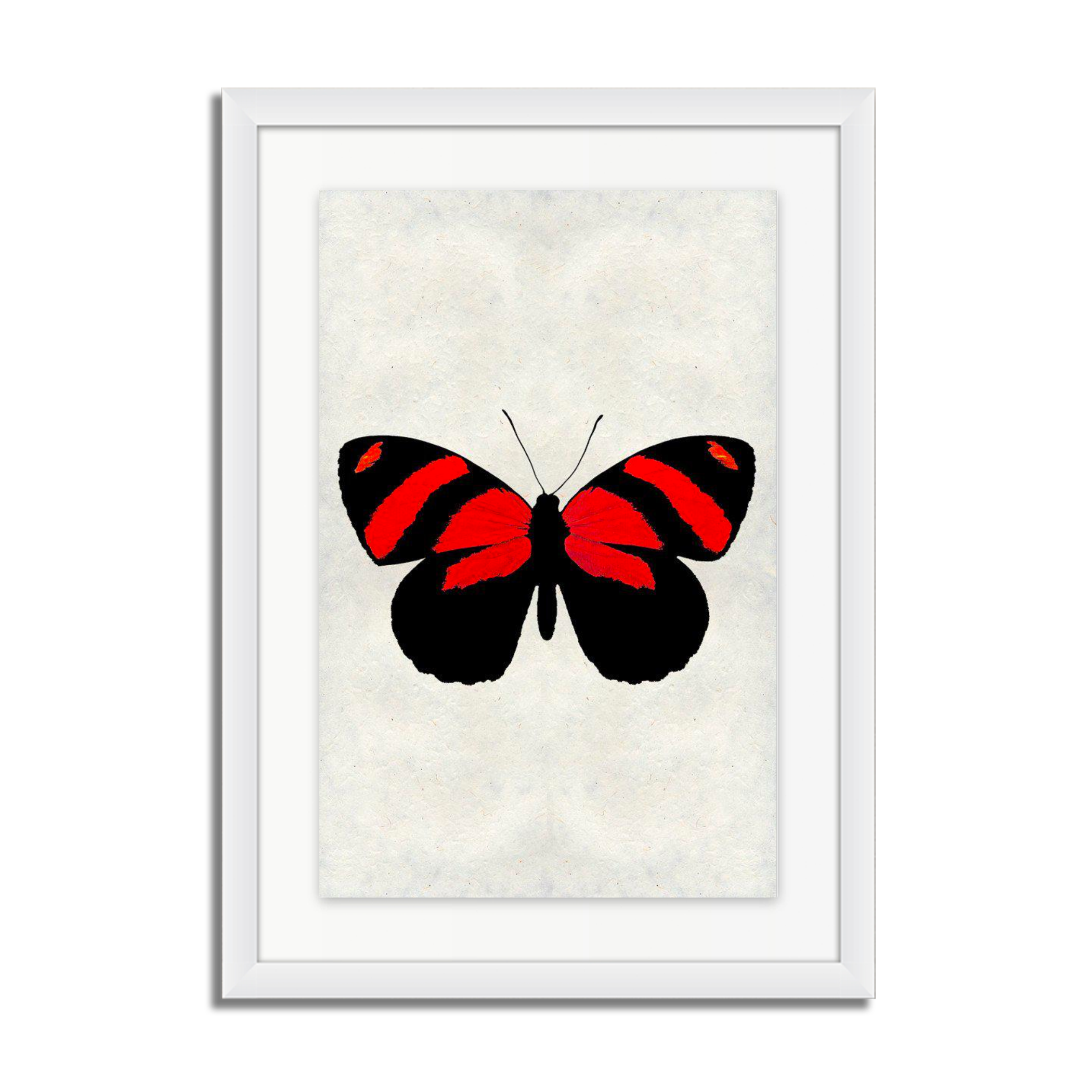 Butterfly #10