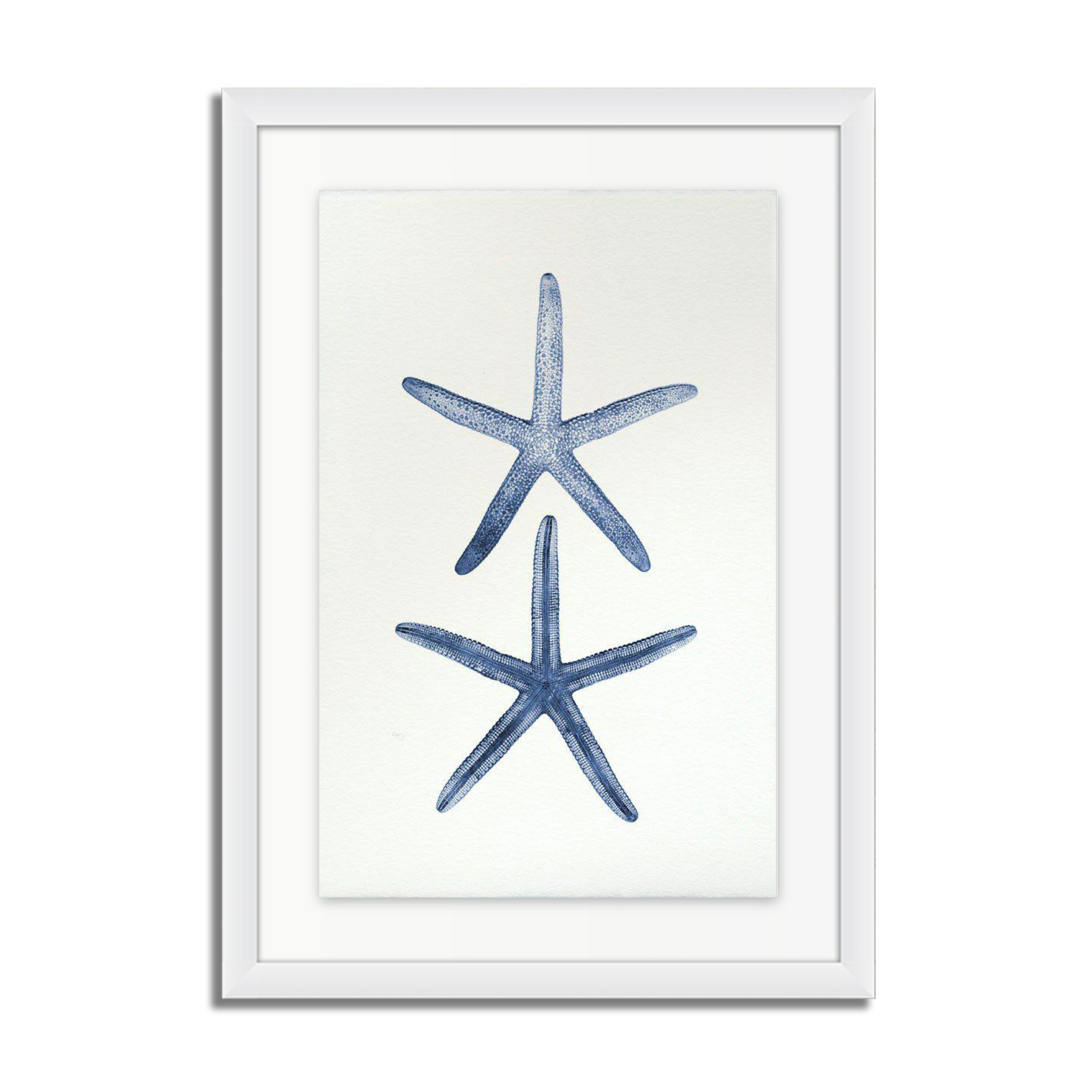 Double Starfish