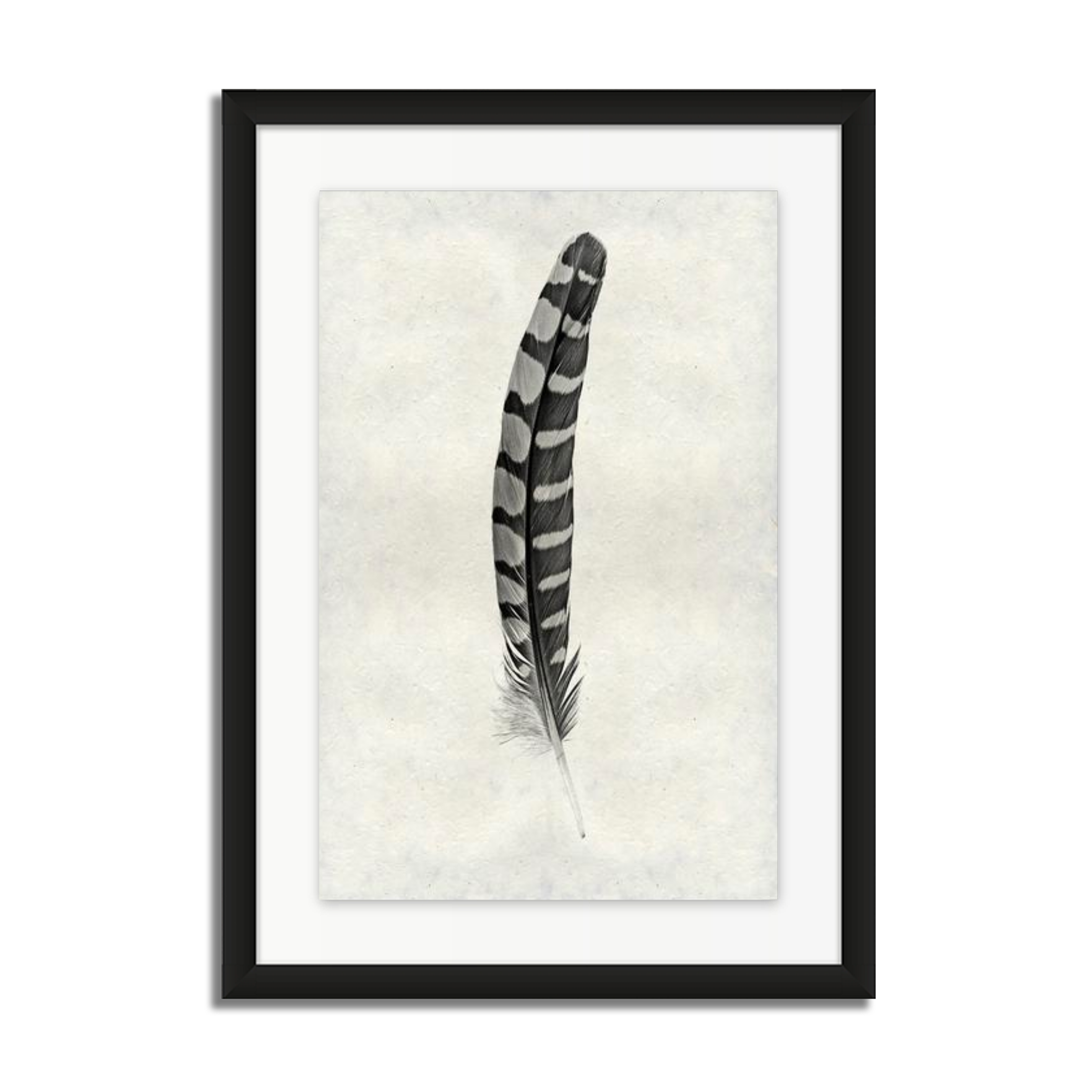 Feather Study #12 (Partridge Wing)