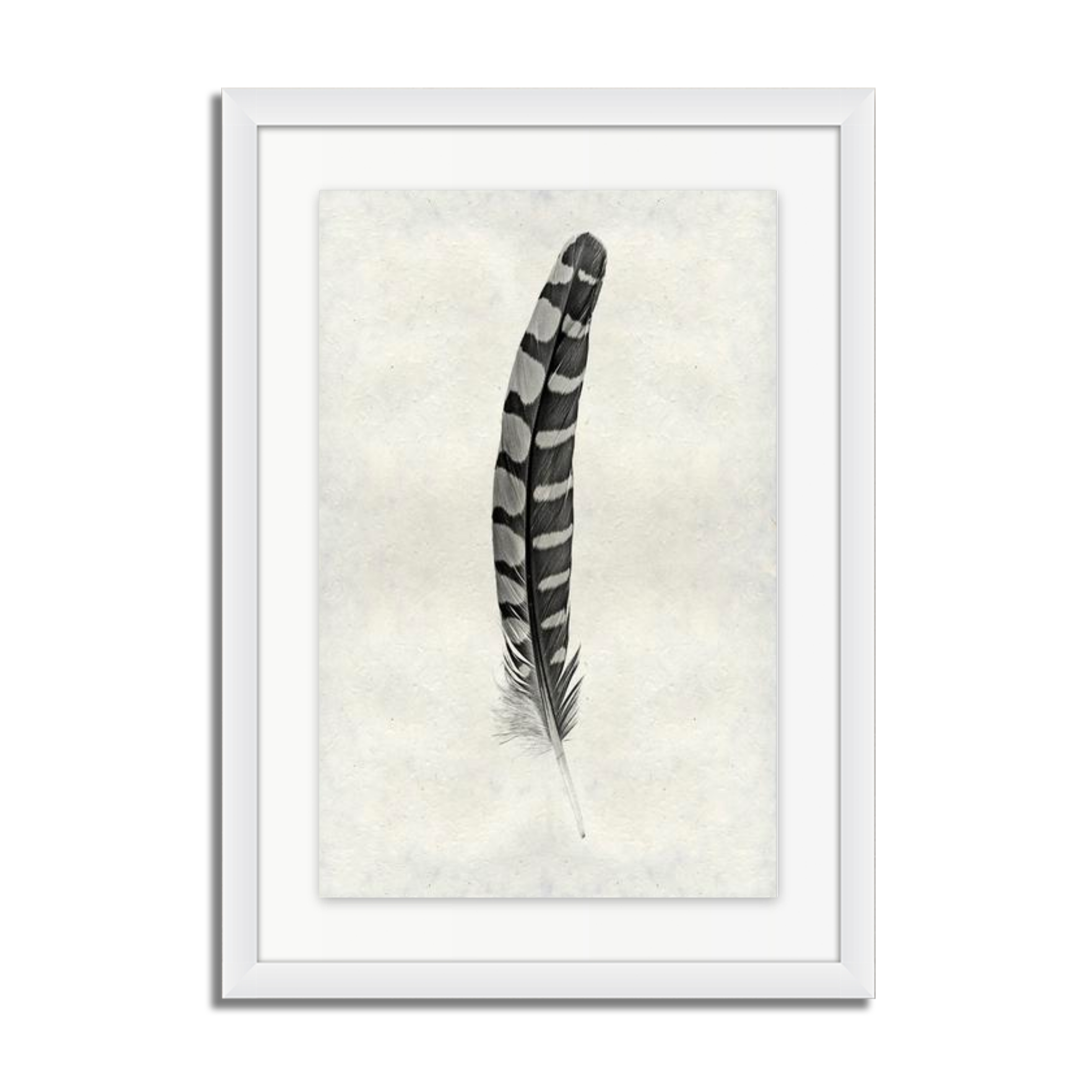 Feather Study #12 (Partridge Wing)