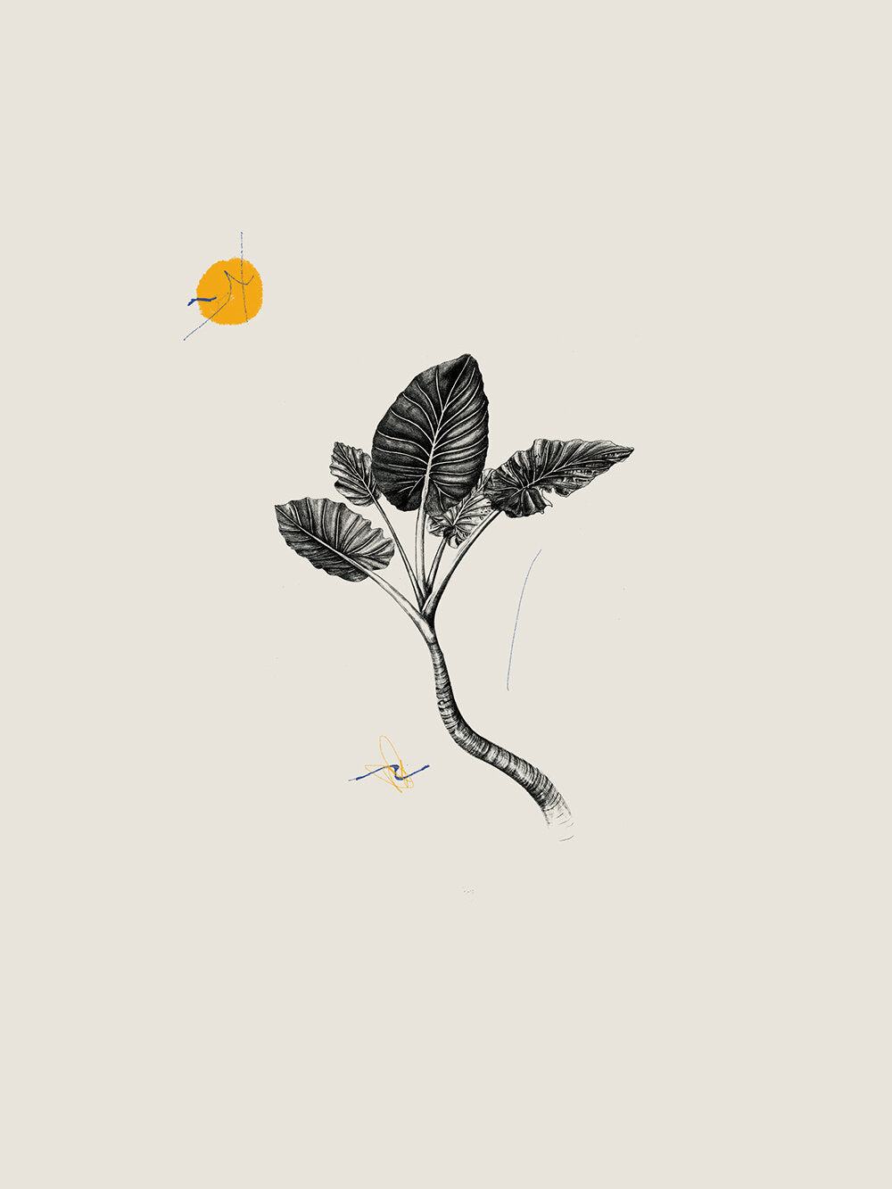 Illustration 026 (Botanical With Color)