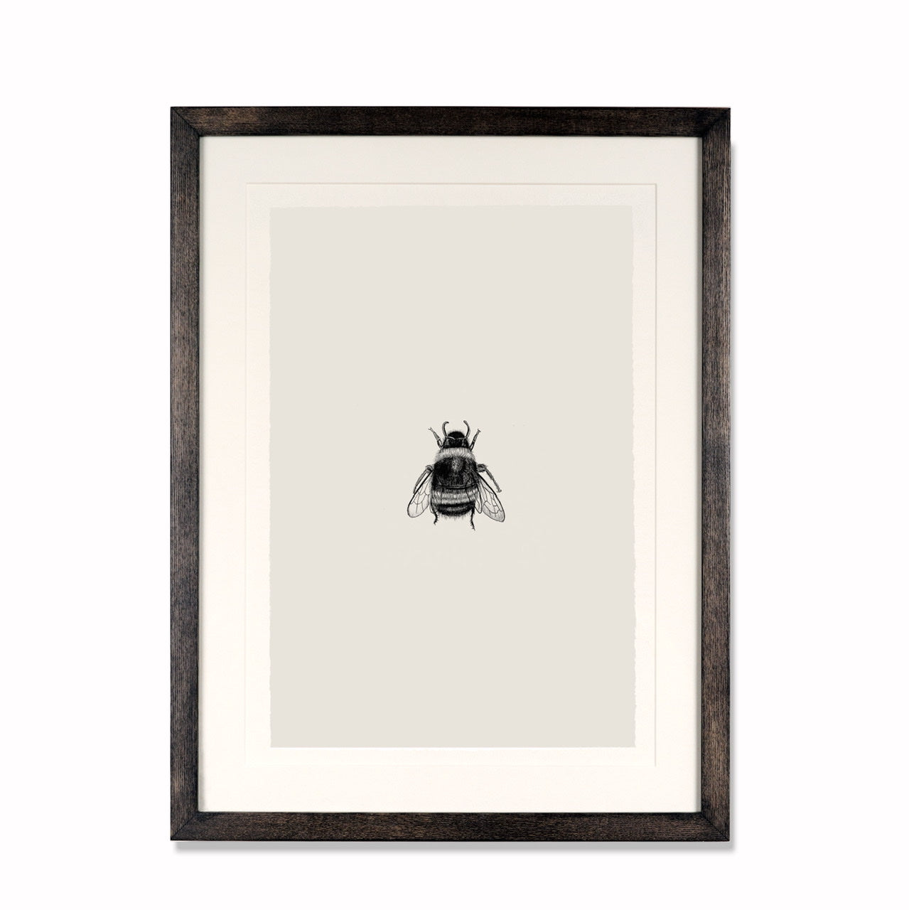 Illustration 004 (Bee)