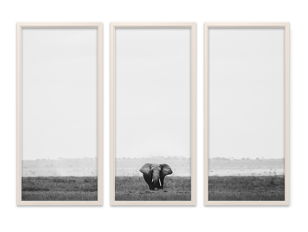Grazing Elephant Triptych
